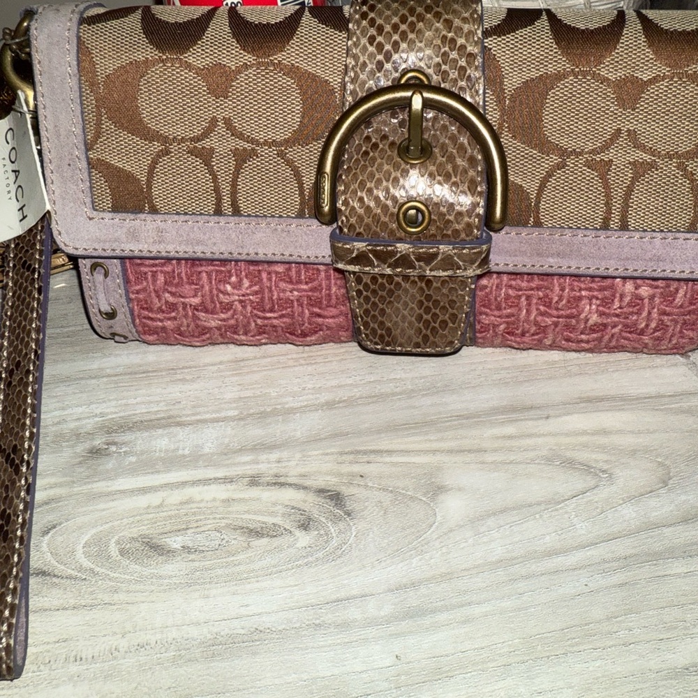 Coach Y2K Clutch